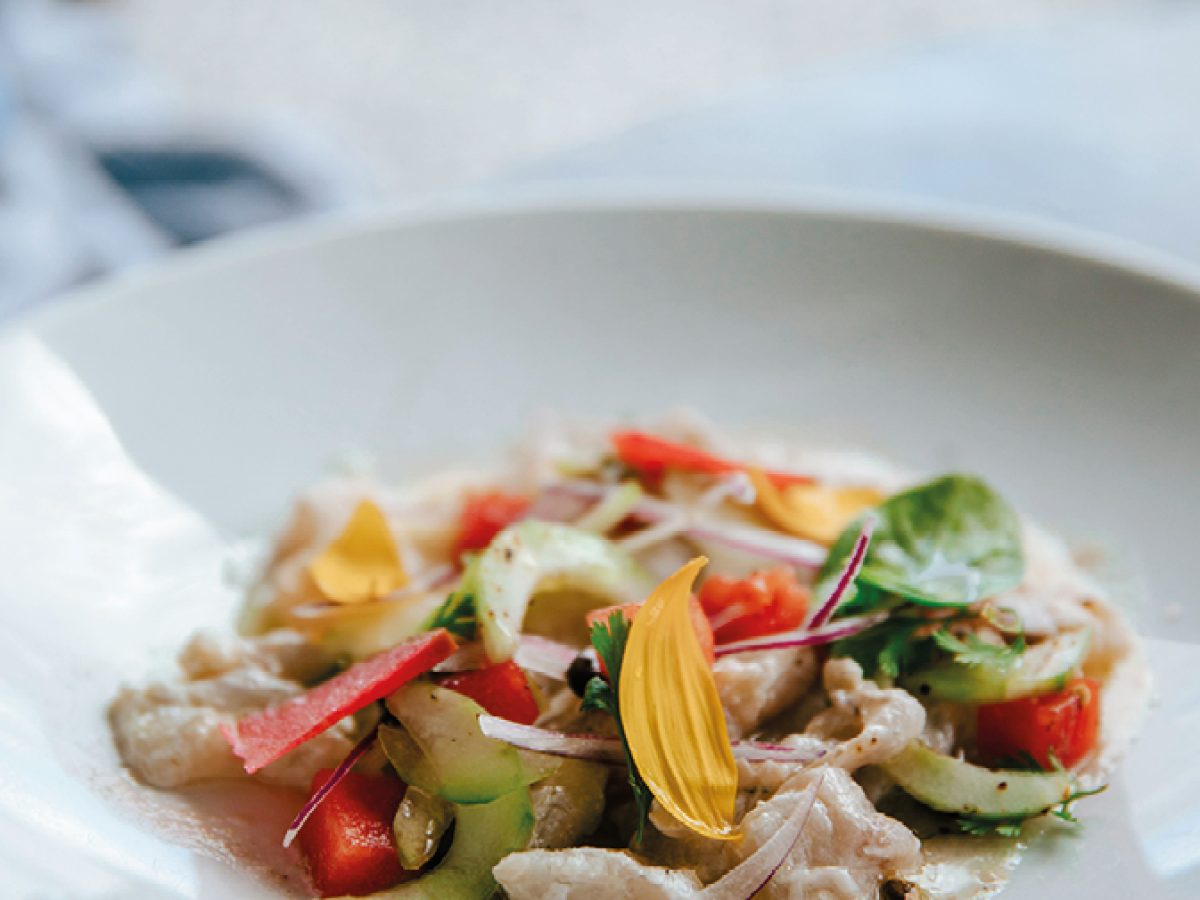 18-19-SudAm-Asteria-OpVakantie-voorjaar-2026-ED20_page_18_item_9