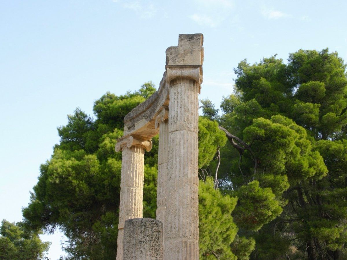 Olympia groot